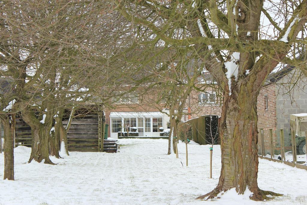 B&B Den Boomgaard Moorsel Esterno foto